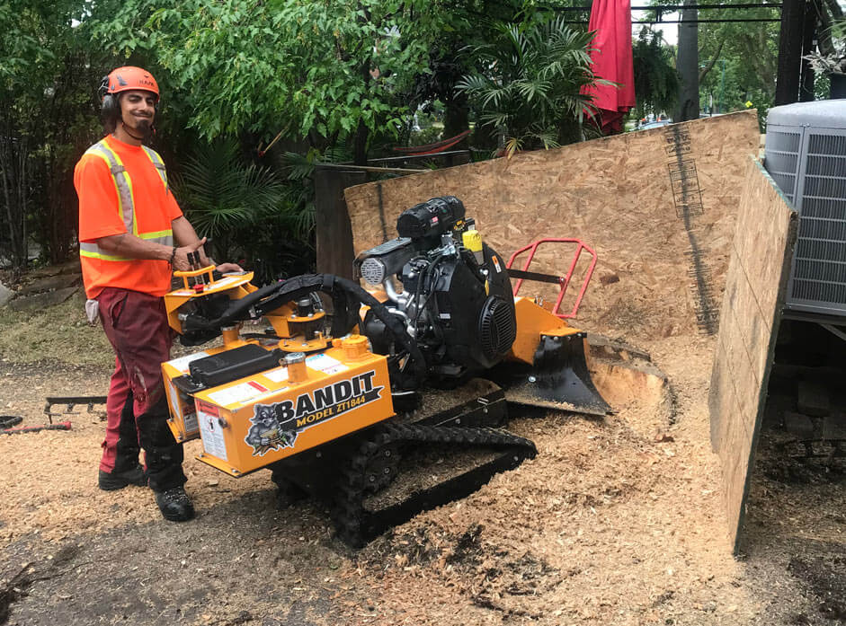 Enl&egrave;vement de souche d'arbre avec &eacute;quipement sp&eacute;cialis&eacute; dans la r&eacute;gion de Montr&eacute;al, Laval, Rive-Nord et Rive-Sud.