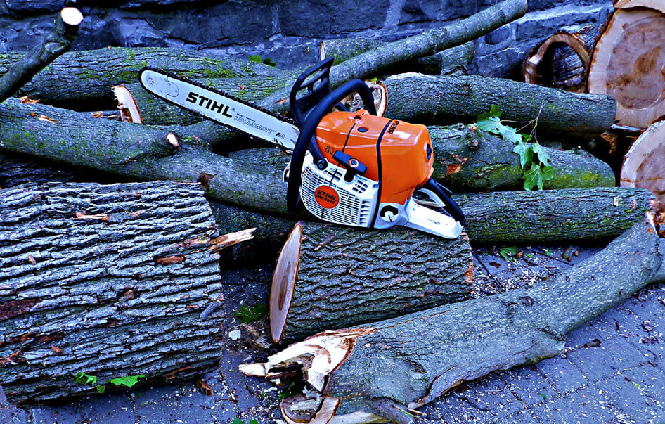 L'équipe de l'Émondeur urbain
