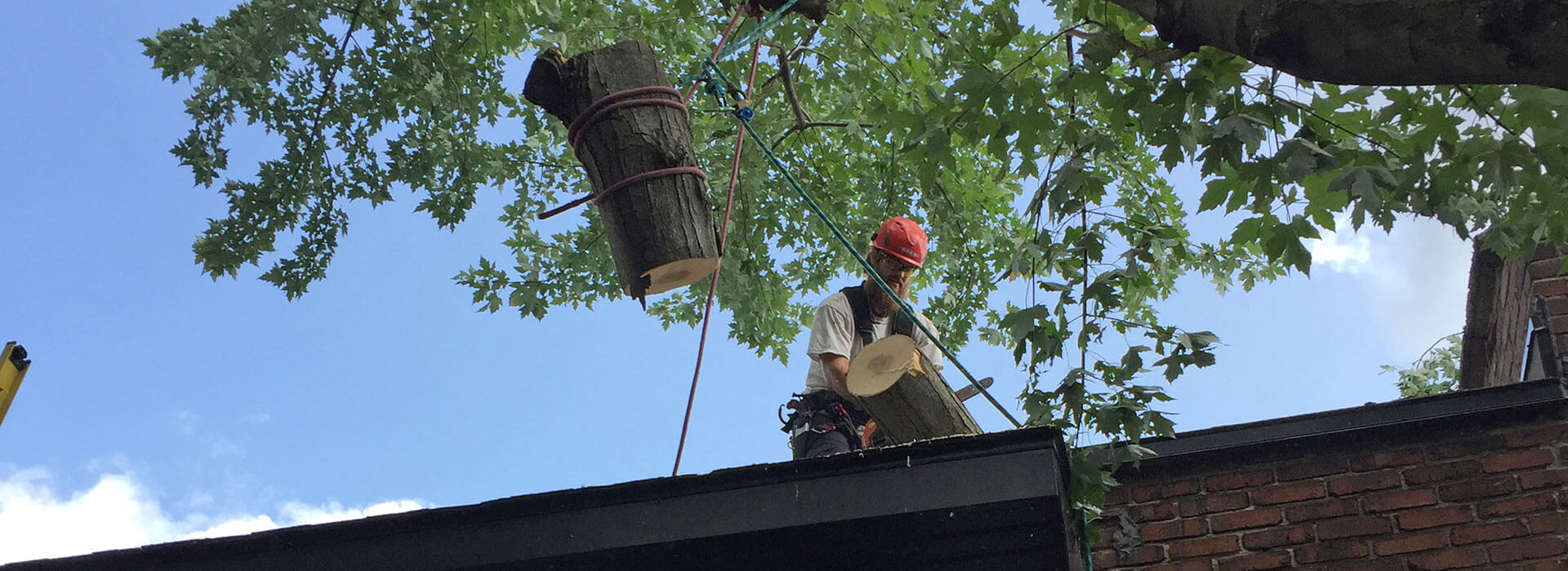 Service Émondage Montréal, Laval et Rive-Nord